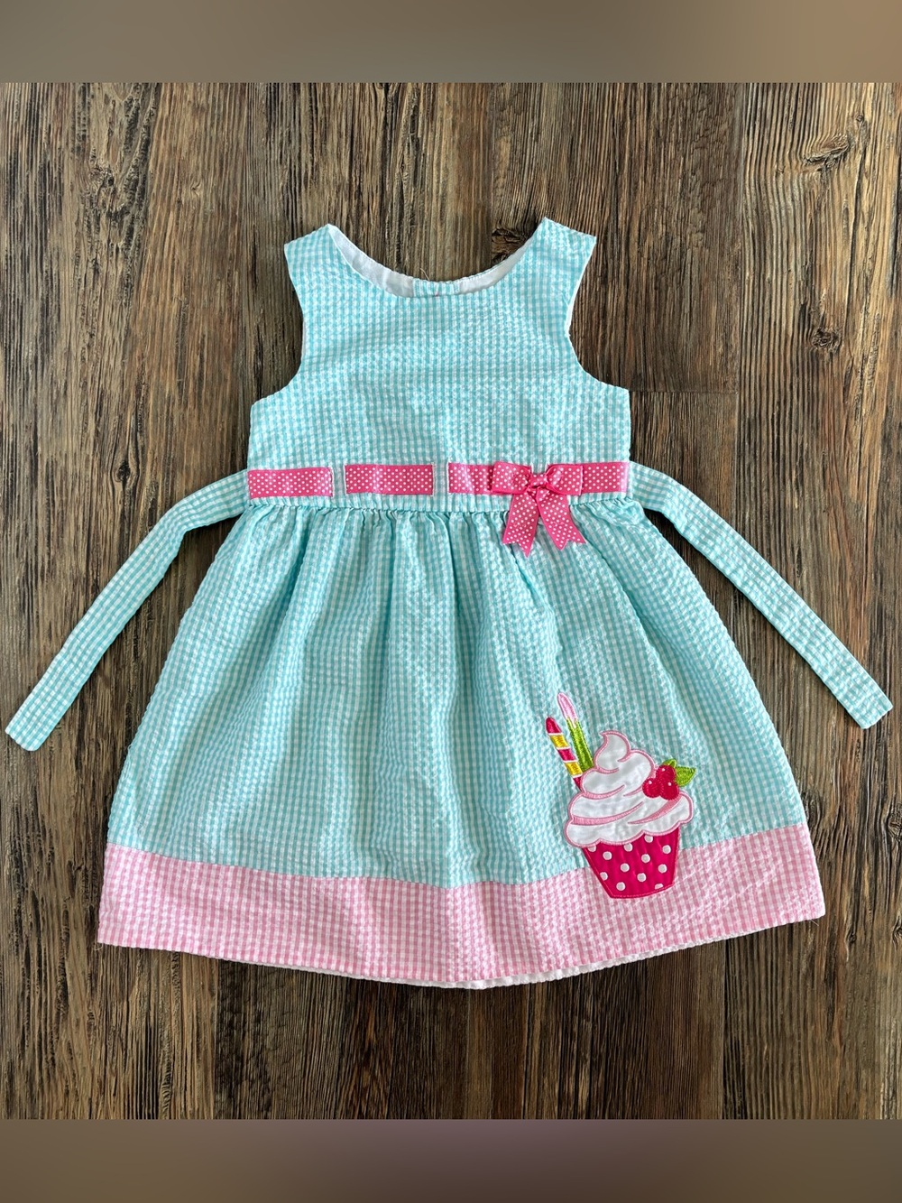 Counting Daisies Seersucker Gingham Sleeveless Cupcake Birthday Dress 4T “Aqua”